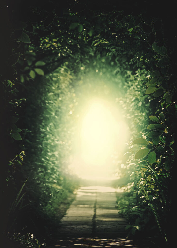 past life regression therapy